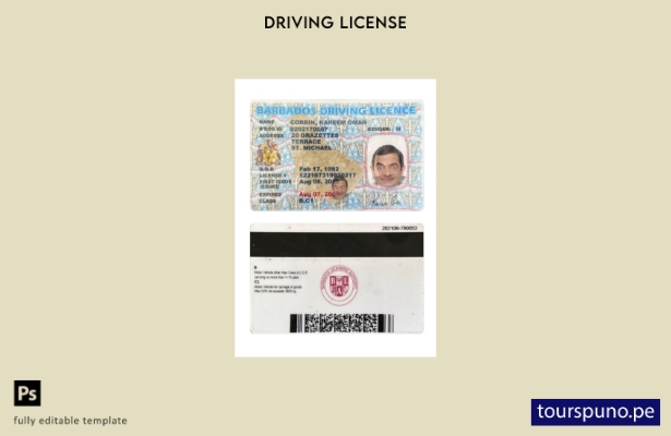 Plantilla de licencia de conducir de Barbados lista para imprimir